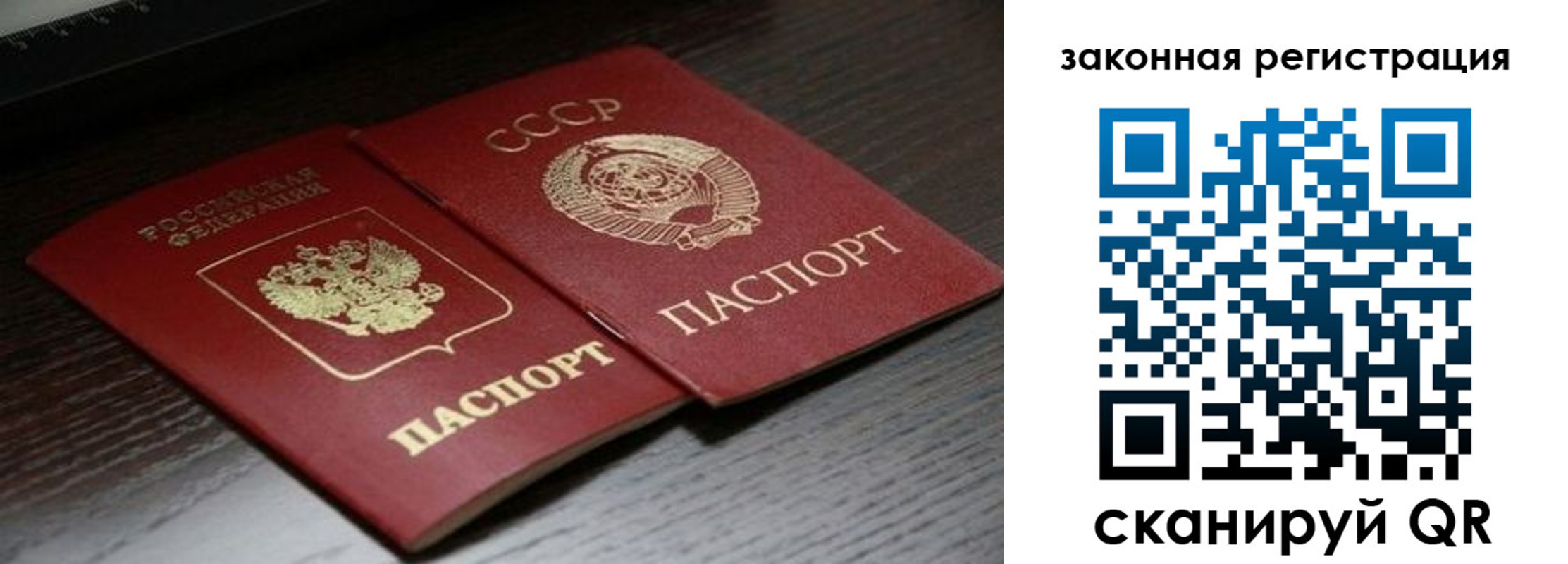 прописка поиск в Никольске